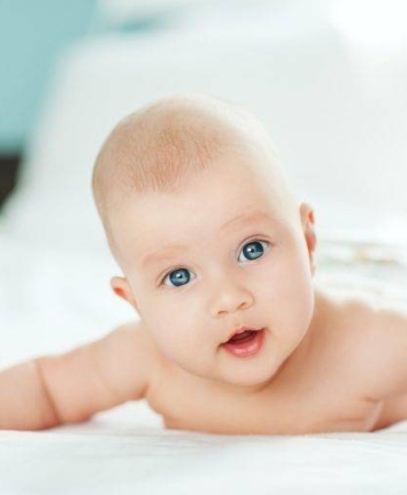 1670934419_TOD_Bebek-768x511