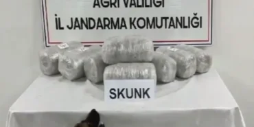 agri-da-10-kilogram-skunk-ele-gecirildi-1774883819-216_large