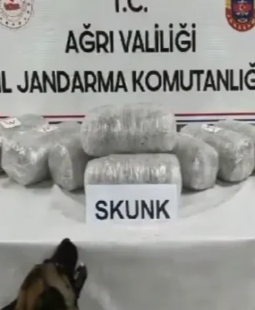 agri-da-10-kilogram-skunk-ele-gecirildi-1774883819-216_large
