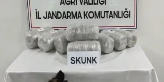 Ağrı’da 10 kilogram skunk ele geçirildi