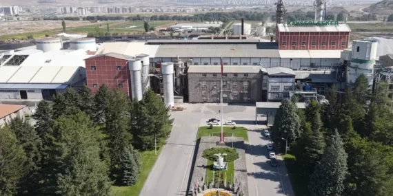 Şeker pancarı tarımın temelidir